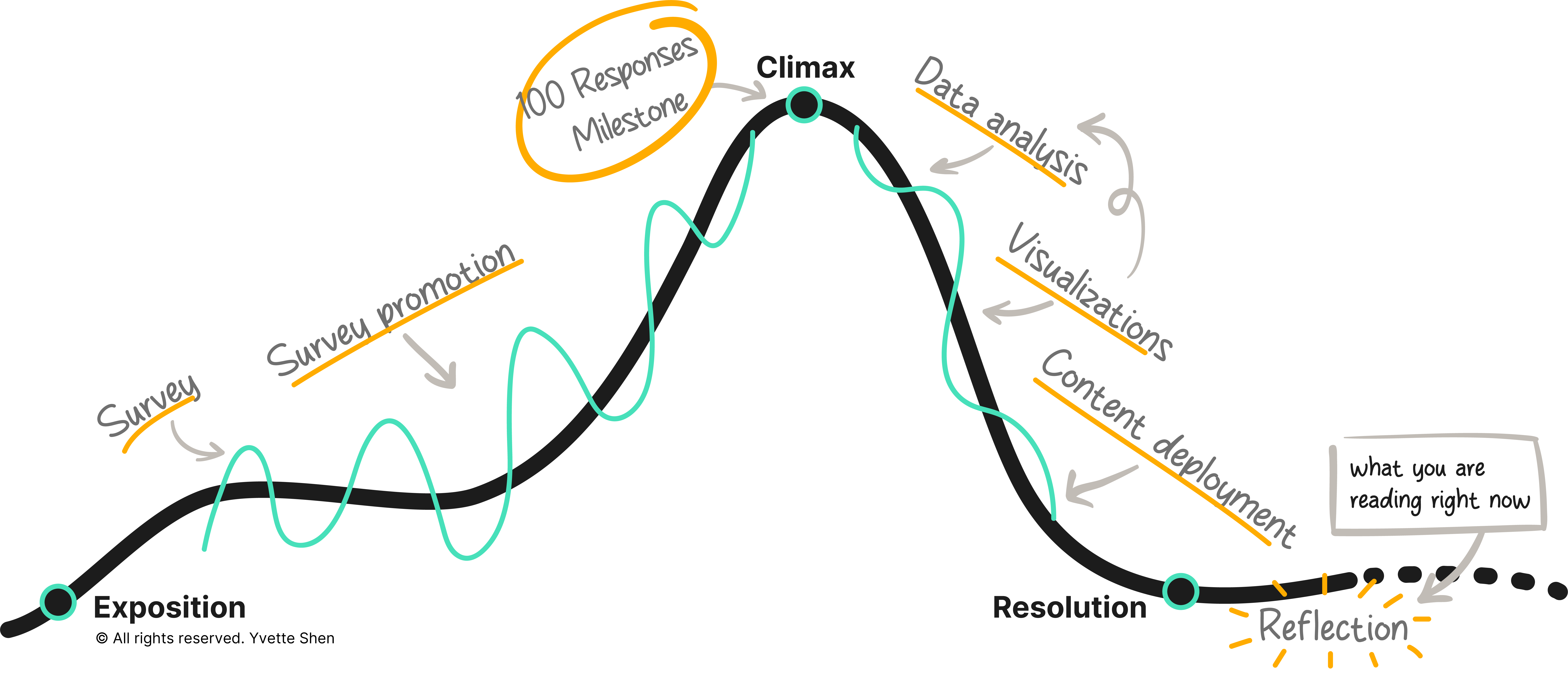 the story arc of the survey project